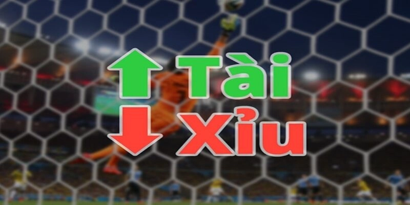 Mẹo Đánh Kèo Tài Xỉu Chuẩn, Được Dân Cá Cược Tin Dùng